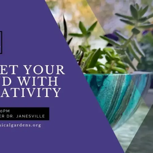 2025-9-24-quiet-your-mind-with-creativity-jpg