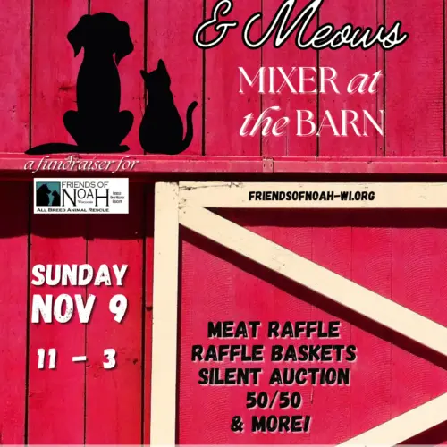 mutts-and-meows-mixer-fs-2025-png