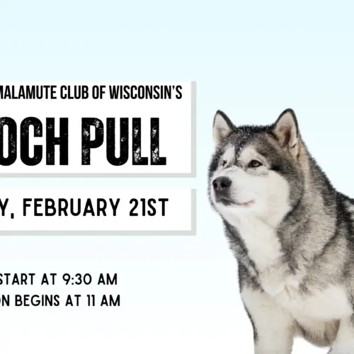 pooch-pull-website-jpg