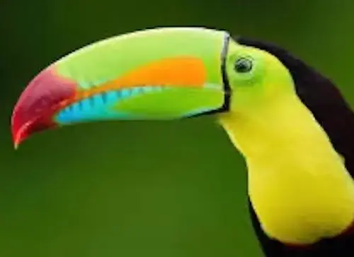 costa-rica-2-large-jpeg-2