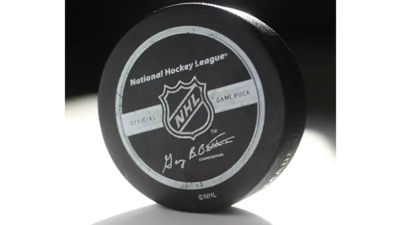 Official game puck from NHL^ National hockey league^ USA
