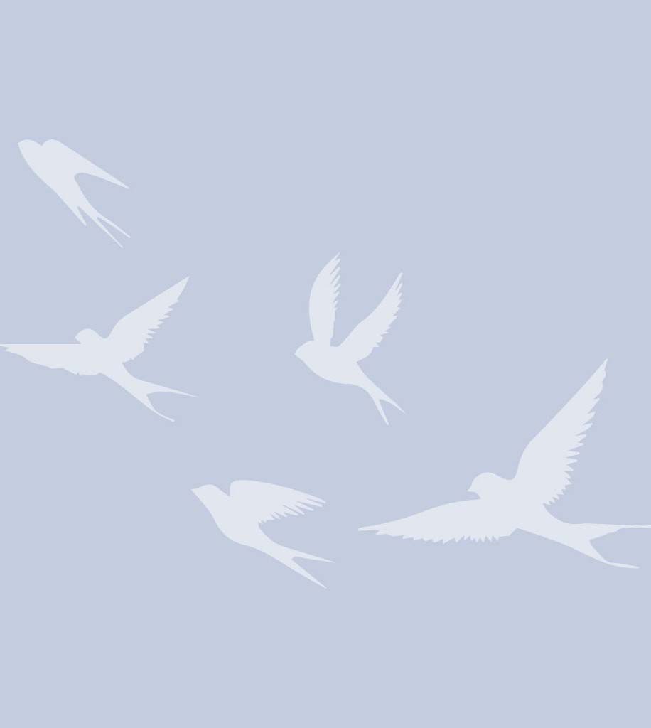 birds-flying-gray