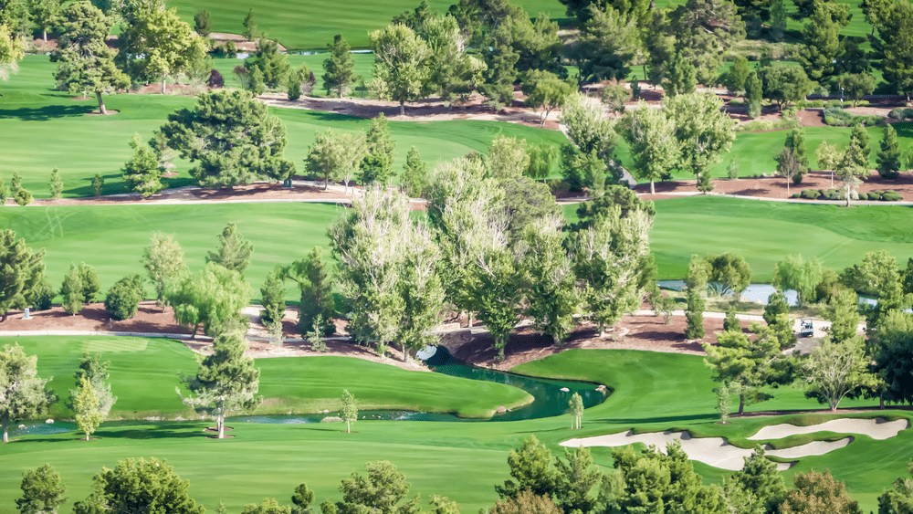 Tom Brady, Aaron Rodgers to face off in 'The Match' golf event