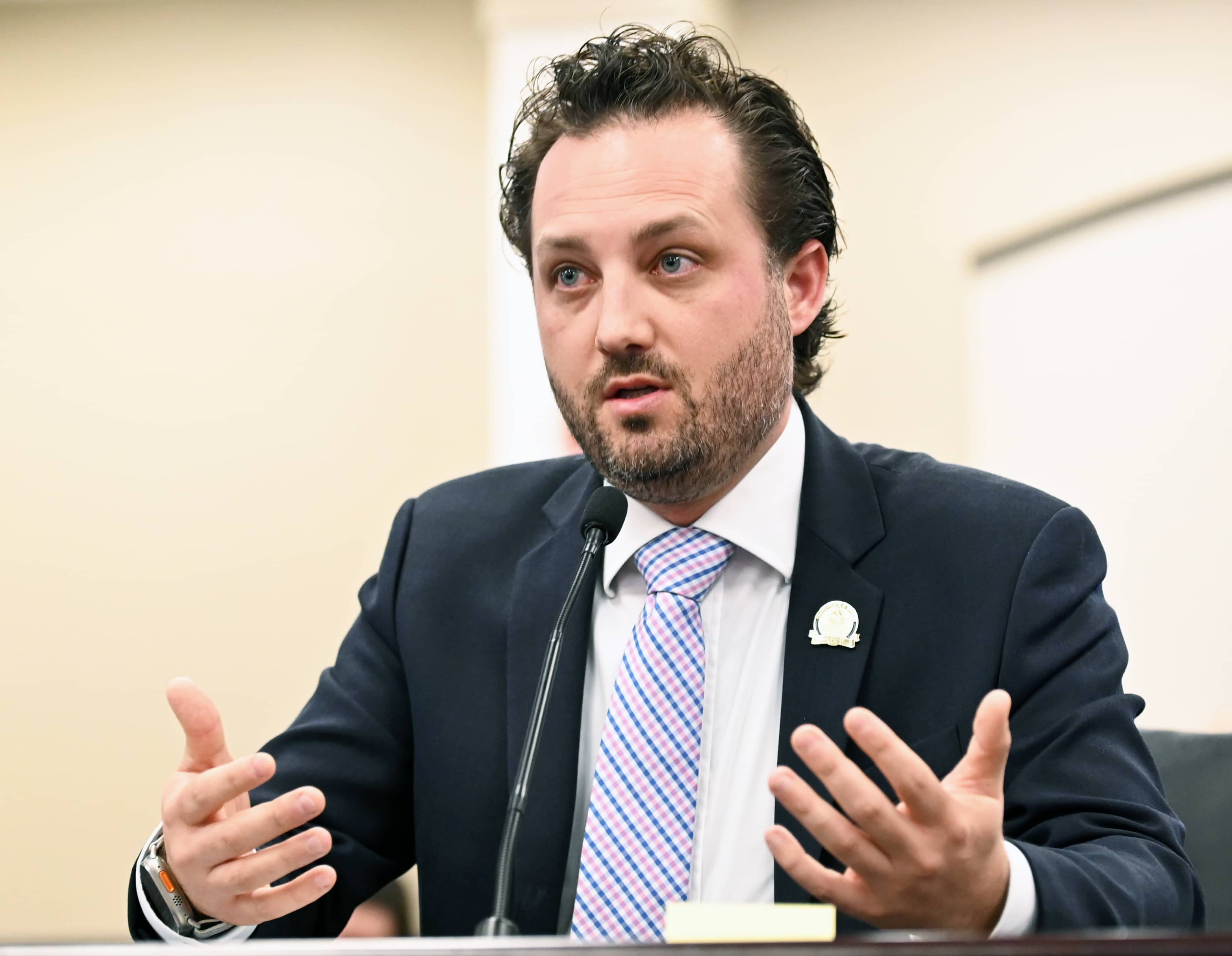 Senate committee advances firearms bill WCLU Radio