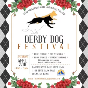 derby-dog-festival
