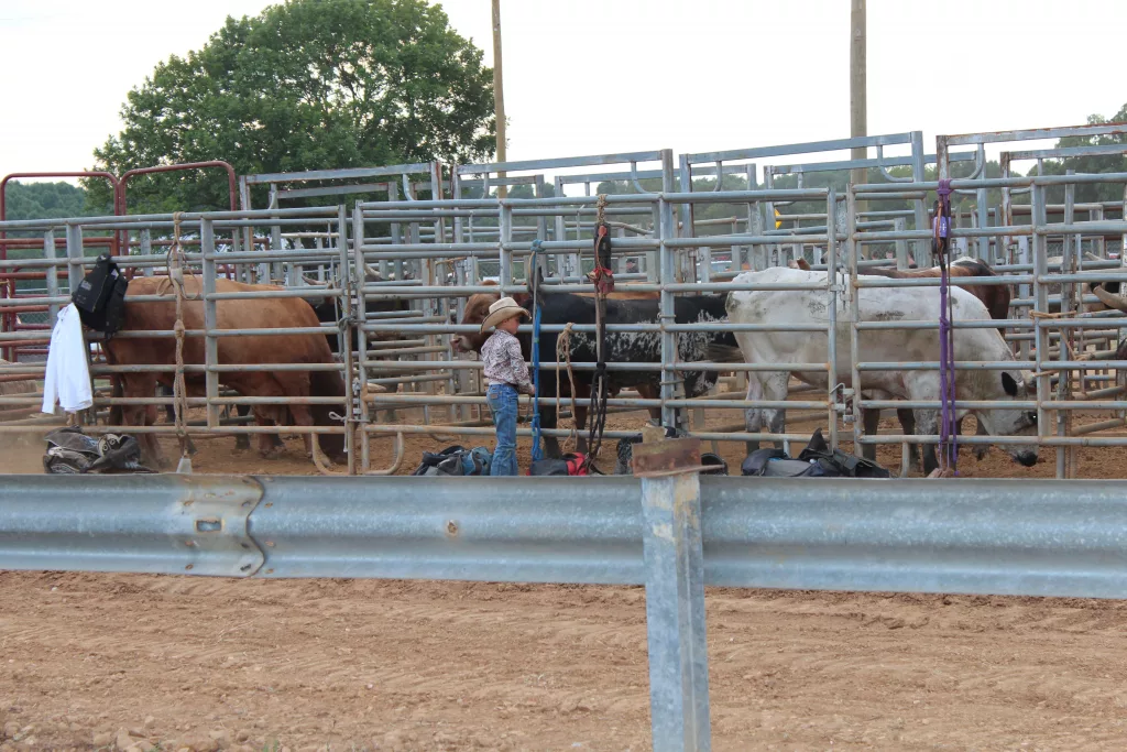 Barren County Fair Kicks Off with Carnival Rides and Rodeo | WCLU Radio