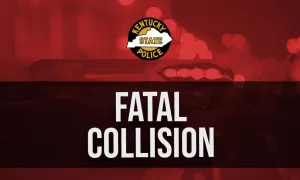 fatal-collision