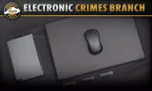 electtonic-crime-branch