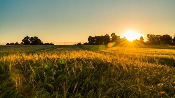 Barren County receives funds for agriculture programs