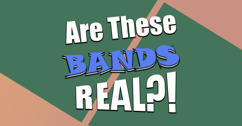 r4znk-1712598763-4210-quiz-are_these_bands_real467392