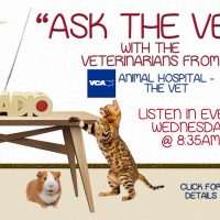 ask-the-vet-podcast-banner-2019-200x200-1-2