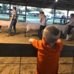 countyfairs-150x150-1