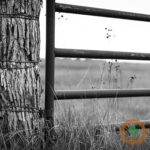 brngeneral2400x400-9-150x150-1