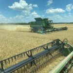 wheat-harvest-150x150-1