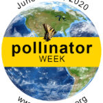 pollinator-week-150x150-1