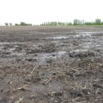 wet-field-in-lincoln-county-sd-160516-150x150-1