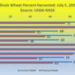 200706-wheat-150x150-1