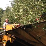 cherry-harvester-150x150-1