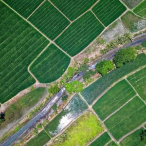 farm-fields-jpg