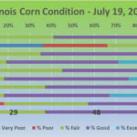 200720-corn-150x150-1