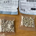 chinese-seeds-received-in-michigan-2020-150x150-1