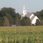 corn-field-perry-iowa-7-14-150x150-1