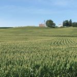 iowa-farm-drought-audobon-8-20-150x150-1