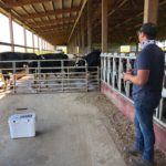 081320_farmdairy-150x150-1