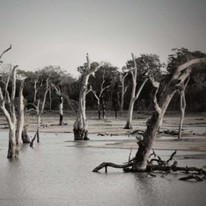 flooding-jpg