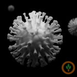 covid19400x400-150x150-1-6