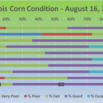 200817-corn-1-150x150-1