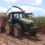 corn-silage-harvest-150x150-1