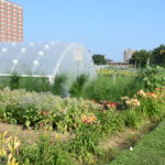 urban-ag_usda-150x150-1