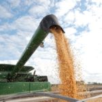 corn-harvest-150x150-1