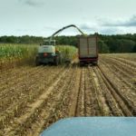 corn-silage-harvest-2020-ll-150x150-1