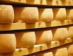 cheese-aging-in-storage-150x115-1