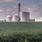 soybeans-se-nebraska-7-15-edit-150x150-1-2