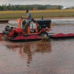 cranberry-harvesting2-jacob-searles-cranberry-company-wi-rapids-wi-2020-150x150-1
