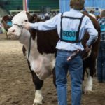 national-western-stock-show-150x150-1