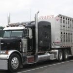 trucking-livestock-picture-wsa-3-18-150x150-1