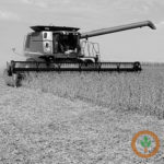 combine_soy400x400-1-150x150-1-3