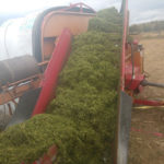 bagging-silage2-150x150-1