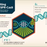 crispr-cas9-danforth-plant-science-center-150x150-1