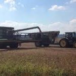 soybean-harvest-2-150x150-1