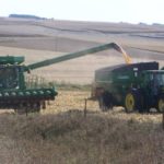 harvest-iowa-dennis-2020-150x150-1