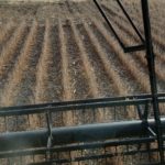201020_soybean_harvest_coombs_md-150x150-1