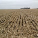 201021_biegler_striptill_md-150x150-1