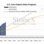 stone-x-corn-150x150-1