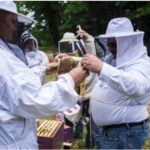 heroes-to-hives-msu-150x150-1