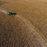 harvest-corn-2020-craig-chandler-university-communication-1-150x150-1